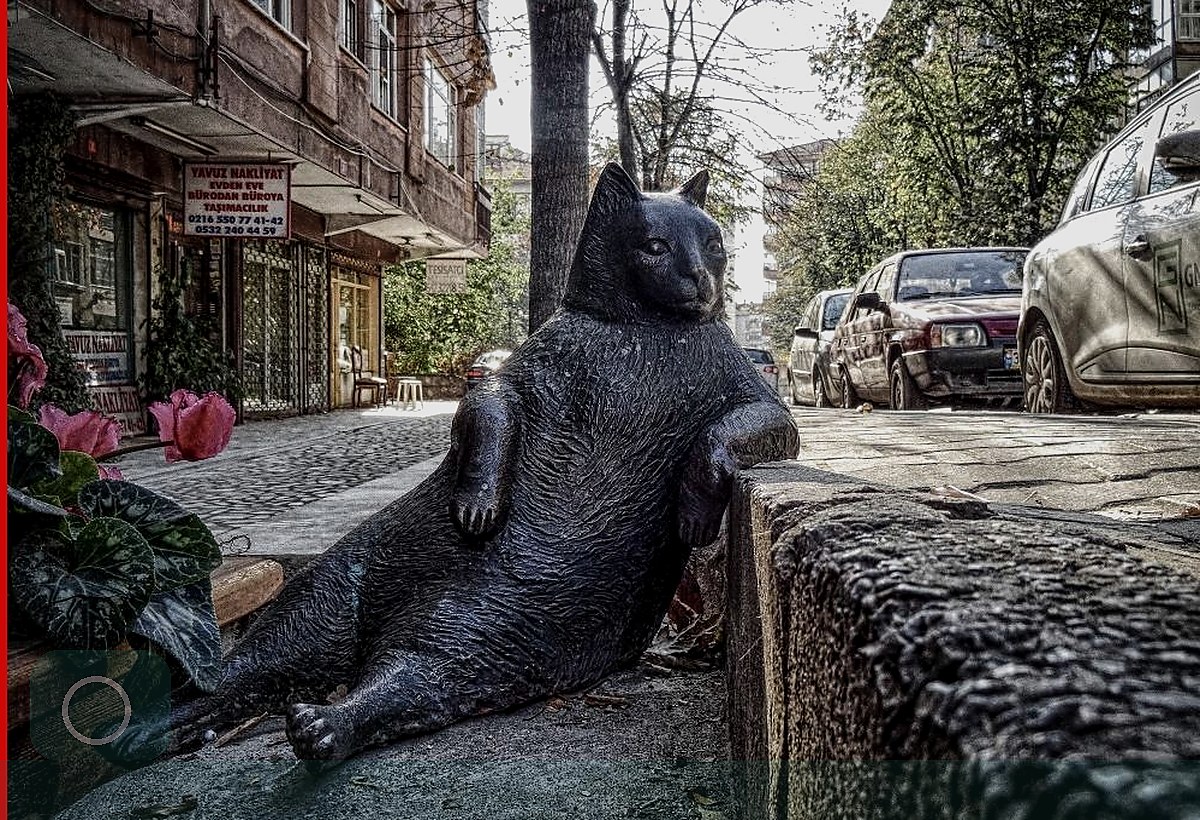 maternity portrait